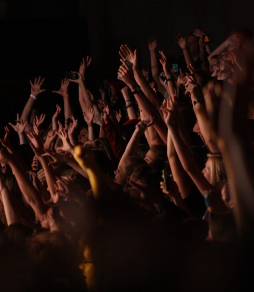 Hands Up Crowd